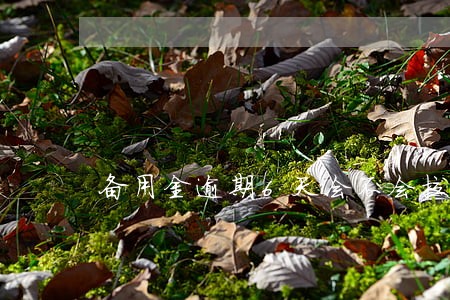备用金逾期6天会不会拉黑了 备用金逾期6天会不会拉黑了