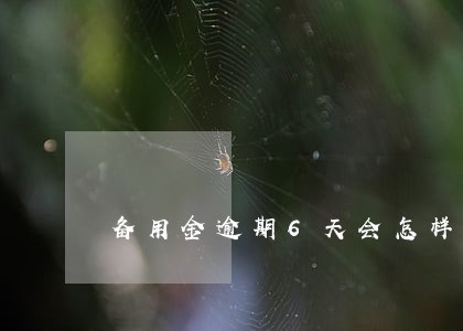 备用金逾期6天会怎样 备用金逾期6天会怎样
