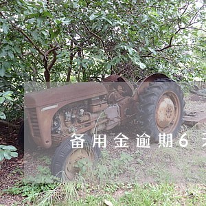 备用金逾期6天会有什么后果 备用金逾期6天会有什么后果