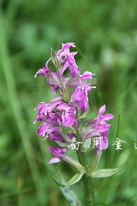 备用金逾期6天还可以用吗 备用金逾期6天还可以用吗
