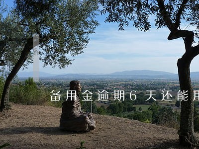 备用金逾期6天还能用吗