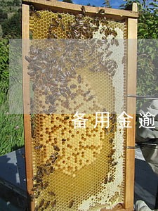 备用金逾期75天 备用金逾期75天