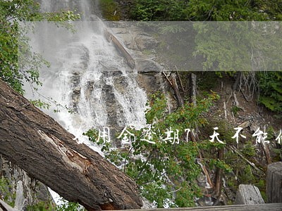 备用金逾期7天不能修复 备用金逾期7天不能修复