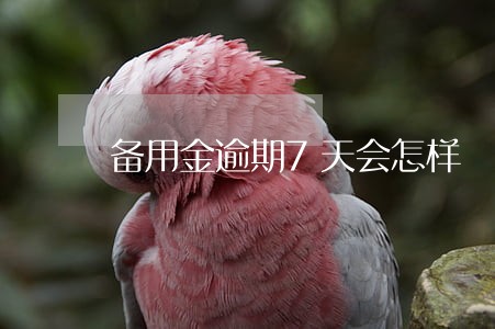 备用金逾期7天会怎样 备用金逾期7天会怎样