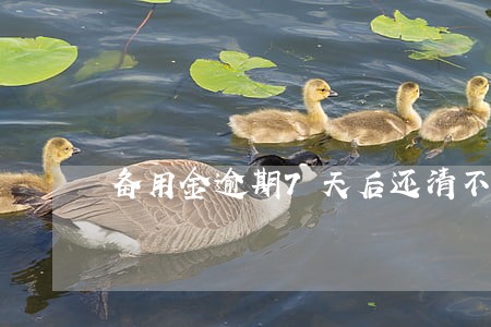 备用金逾期7天后还清不能用 备用金逾期7天后还清不能用