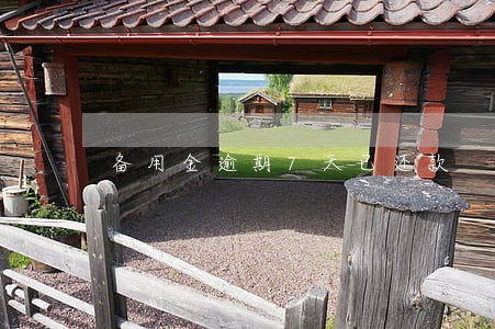 备用金逾期7天已还款