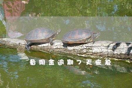 备用金逾期7天恢复 备用金逾期7天恢复