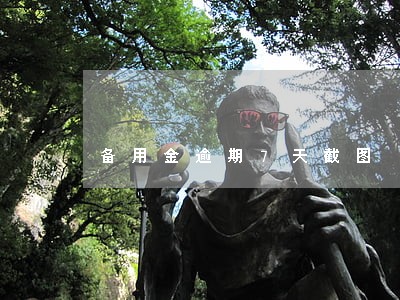 备用金逾期7天截图 备用金逾期7天截图