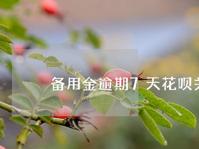 备用金逾期7天花呗关了 备用金逾期7天花呗关了
