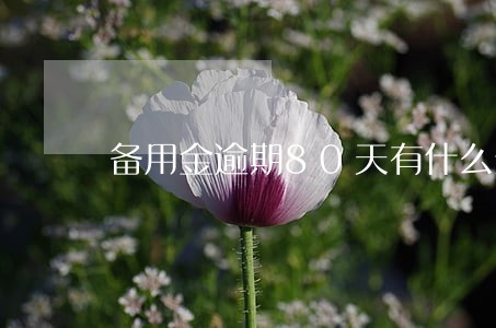 备用金逾期80天有什么影响
