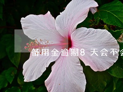 备用金逾期8天会不会上征信 备用金逾期8天会不会上征信
