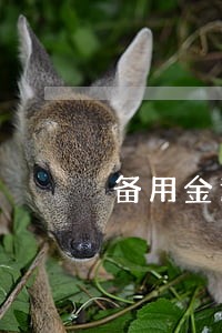 备用金逾期8天停用多久 备用金逾期8天停用多久