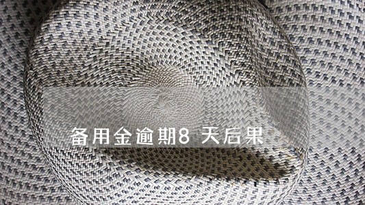 备用金逾期8天后果 备用金逾期8天后果