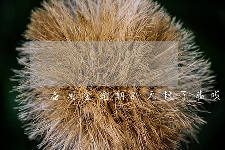 备用金逾期8天封了花呗