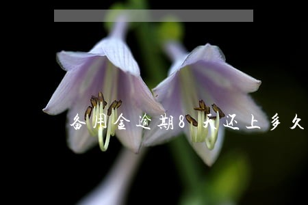 备用金逾期8天还上多久能用 备用金逾期8天还上多久能用