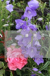 备用金逾期92天 备用金逾期92天