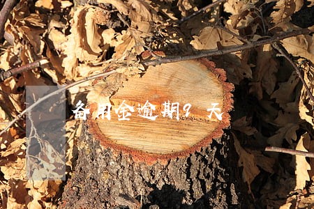 备用金逾期9天 备用金逾期9天