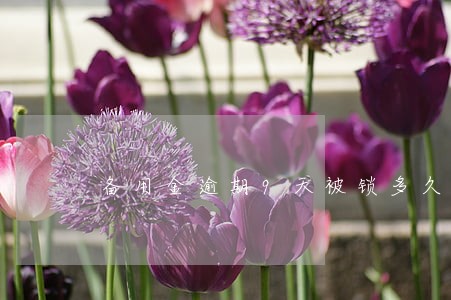 备用金逾期9天被锁多久恢复 备用金逾期9天被锁多久恢复