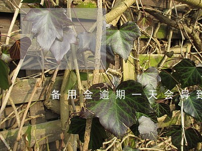 备用金逾期一天会导致评估信用 备用金逾期一天会导致评估信用