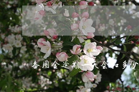 备用金逾期一天会扣多少信用分