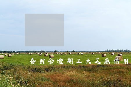 备用金逾期三天芝麻信用 备用金逾期三天芝麻信用