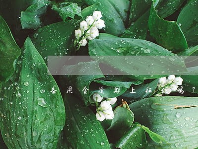 备用金逾期上征信吗7月 备用金逾期上征信吗7月