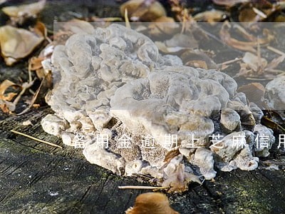 备用金逾期上芝麻信用是什么意思 备用金逾期上芝麻信用是什么意思