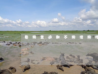 备用金逾期不用信用修复没事吧 备用金逾期不用信用修复没事吧