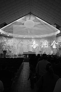 备用金逾期严重18天 备用金逾期严重18天
