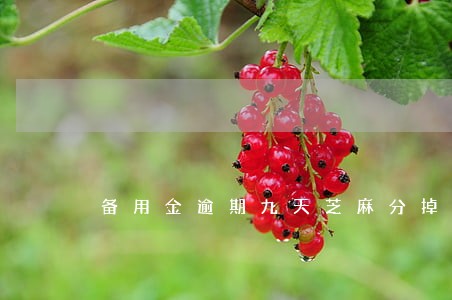 备用金逾期九天芝麻分掉了25 备用金逾期九天芝麻分掉了25