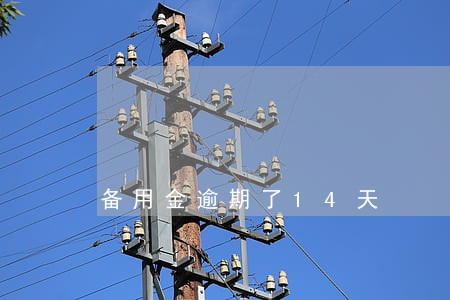 备用金逾期了14天 备用金逾期了14天