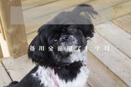 备用金逾期了1个月 备用金逾期了1个月
