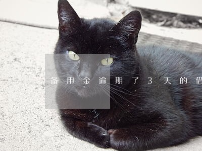备用金逾期了3天的借不了了 备用金逾期了3天的借不了了