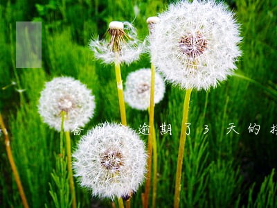 备用金逾期了3天的接不了了 备用金逾期了3天的接不了了