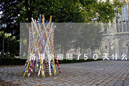 备用金逾期了50天什么时候能用 备用金逾期了50天什么时候能用