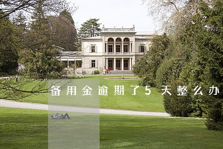 备用金逾期了5天整么办 备用金逾期了5天整么办