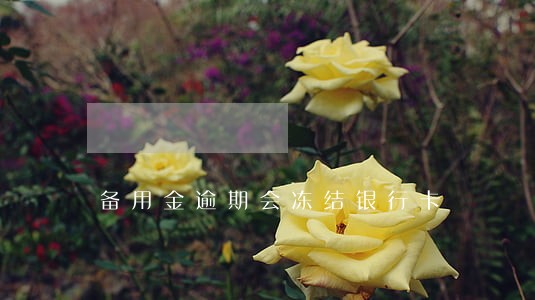 备用金逾期会冻结银行卡 备用金逾期会冻结银行卡