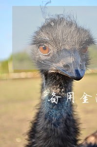 备用金逾期会影响个人信用吗 备用金逾期会影响个人信用吗