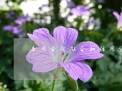 备用金逾期会扣信用分吗 备用金逾期会扣信用分吗