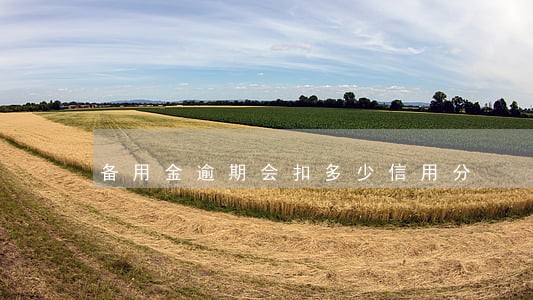 备用金逾期会扣多少信用分 备用金逾期会扣多少信用分