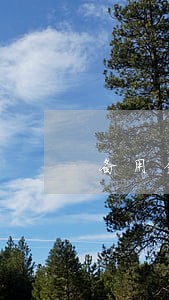 备用金逾期几天扣信用分 备用金逾期几天扣信用分