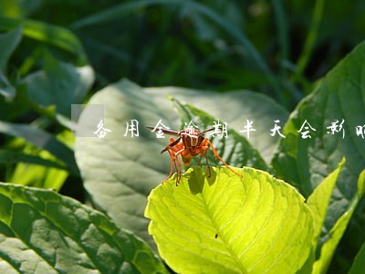 备用金逾期半天会影响信用积分吗 备用金逾期半天会影响信用积分吗