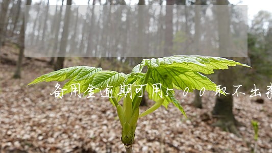 备用金逾期可用500取不出来 备用金逾期可用500取不出来