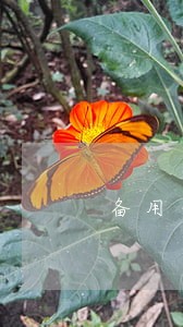 备用金逾期后修复信用记录 备用金逾期后修复信用记录