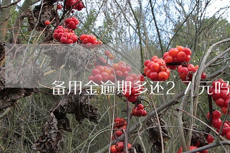 备用金逾期多还27元吗 备用金逾期多还27元吗
