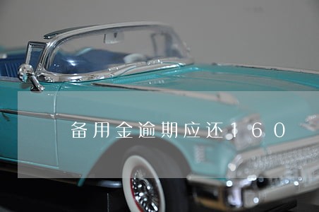 备用金逾期应还160 备用金逾期应还160
