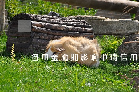 备用金逾期影响申请信用卡吗 备用金逾期影响申请信用卡吗