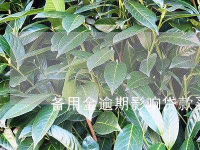 备用金逾期影响贷款买房吗 备用金逾期影响贷款买房吗