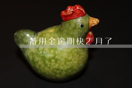 备用金逾期快2月了 备用金逾期快2月了