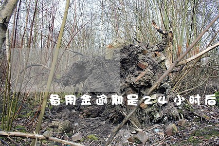 备用金逾期是24小时后恢复吗 备用金逾期是24小时后恢复吗